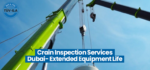 crane inspection services in dubai